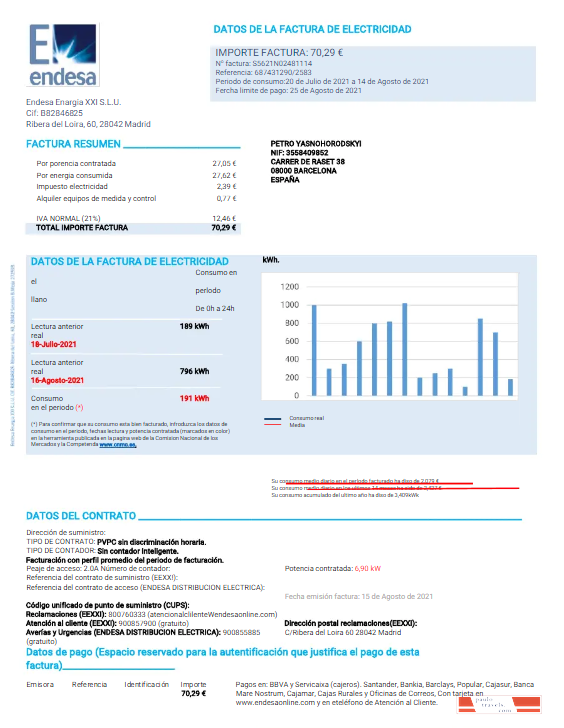 SPAIN ENDESA utility bill Word and PDF template